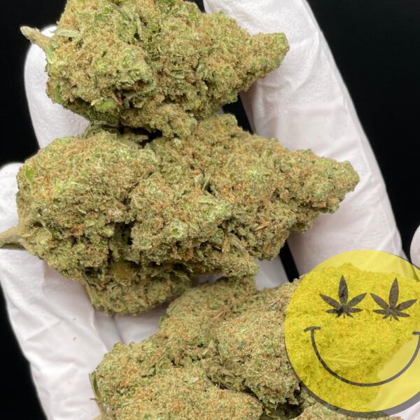 G. COOKIES – Bild 2