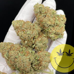 Alternative view of Alien Cookies