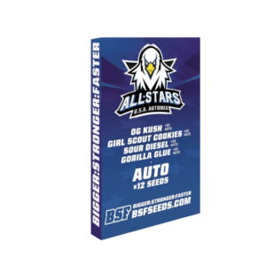 All Stars USA Auto Mix 12 Stk. | BSF Seeds