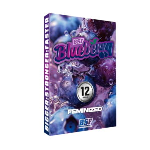 Blueberry Fem. | BSF Seeds
