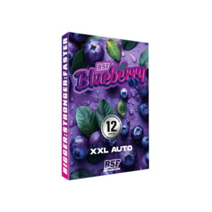 Blueberry XXL Auto 2 Stk. | BSF Seeds