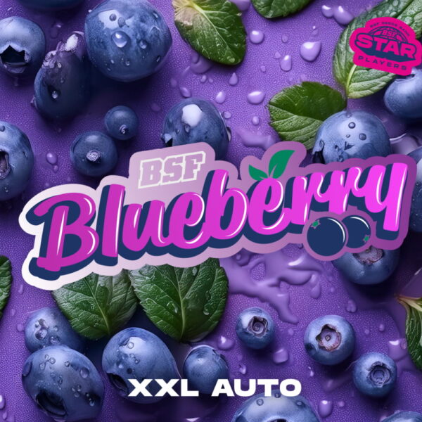 Blueberry XXL Auto 2 Stk. | BSF Seeds – Bild 4