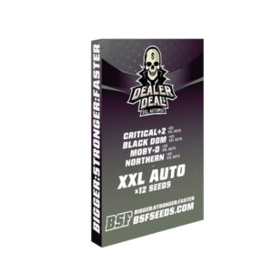 Dealer Deal Auto Mix 12 Stk. | BSF Seeds