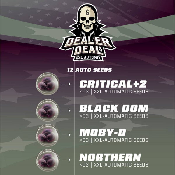 Dealer Deal Auto Mix 12 Stk. | BSF Seeds – Bild 3
