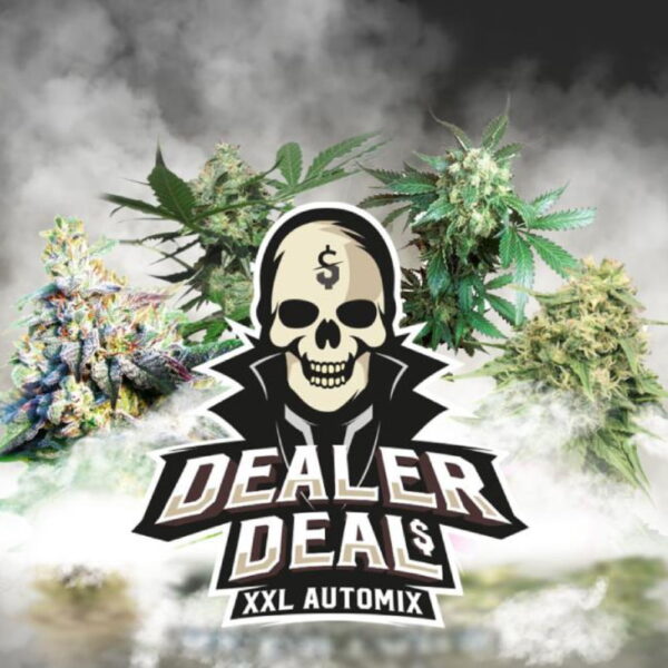 Dealer Deal Auto Mix 12 Stk. | BSF Seeds – Bild 4