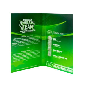 Alternative view of Dream Team Fem. Mix | BSF Seeds