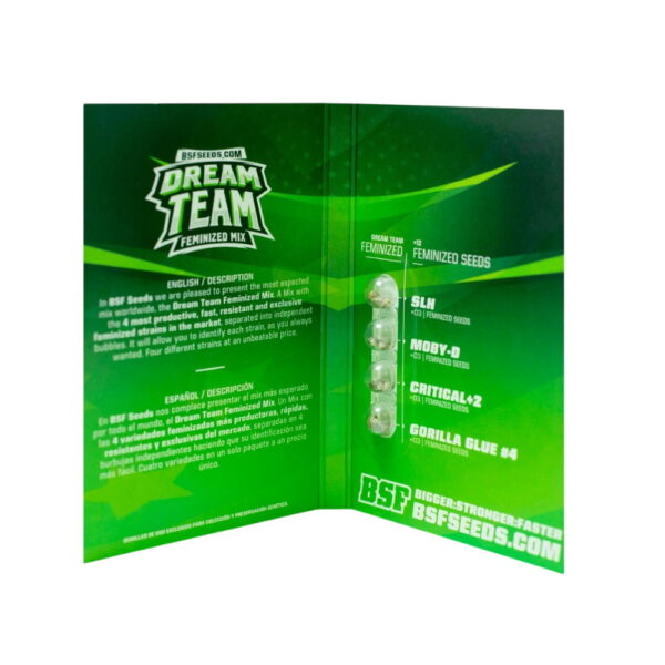 Dream Team Fem. Mix | BSF Seeds – Bild 2