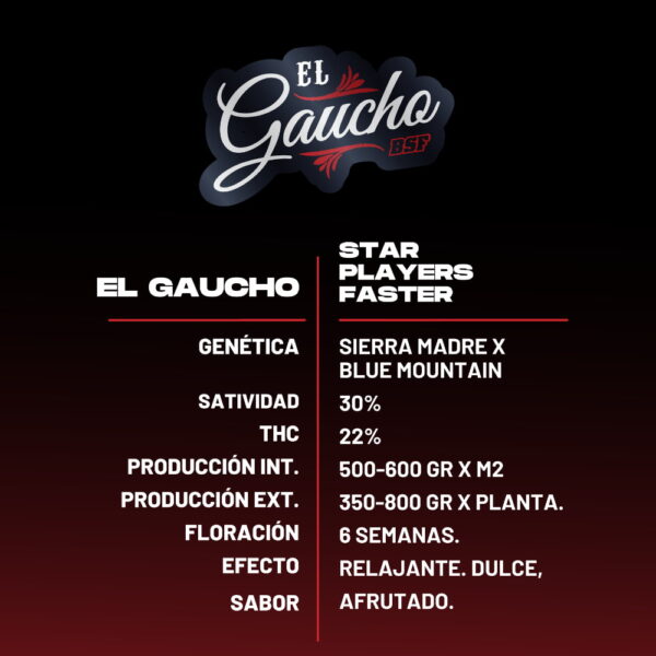 El Gaucho Fast Version | BSF Seeds – Bild 3