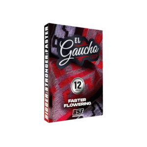 El Gaucho Fast Version 2 Stk. | BSF Seeds
