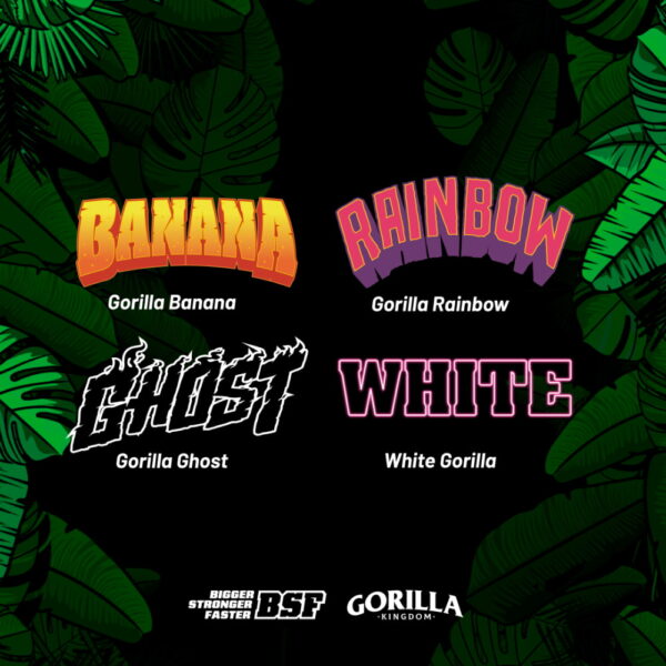 Gorilla Familia Fem. Mix 12 Stk. | BSF Seeds – Bild 2