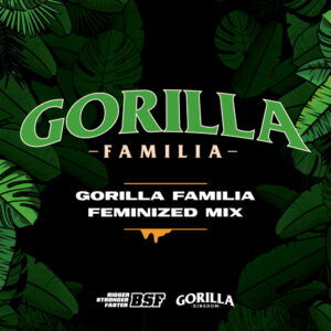 Gorilla Familia Fem. Mix 12 Stk. | BSF Seeds