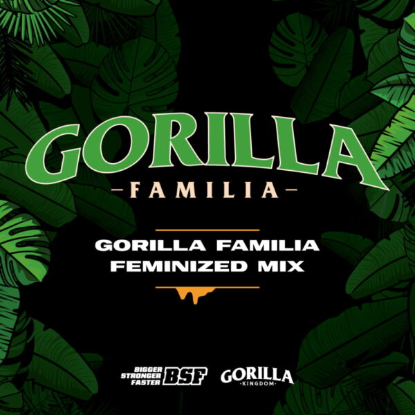 Gorilla Familia Fem. Mix 12 Stk. | BSF Seeds