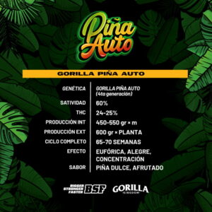 Alternative view of Gorilla Piña Auto | BSF Seeds