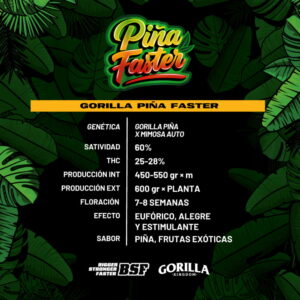 Alternative view of Gorilla Piña Faster | BSF Seeds