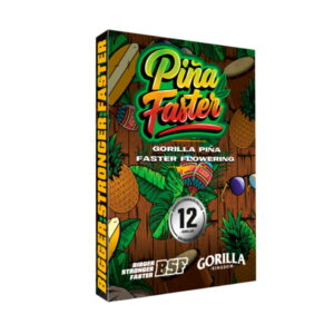 Gorilla Piña Faster | BSF Seeds