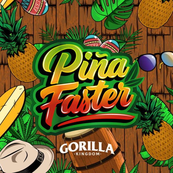 Gorilla Piña Faster | BSF Seeds – Bild 4