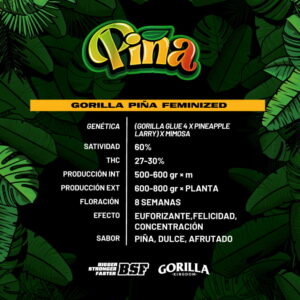 Alternative view of Gorilla Piña Fem. | BSF Seeds