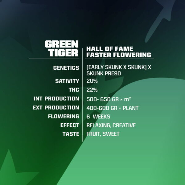 Green Tiger Fast Version | BSF Seeds – Bild 3