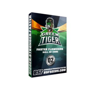 Green Tiger Fast Version 2 Stk. | BSF Seeds