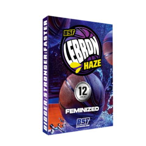 Lebron Haze Fem. | BSF Seeds