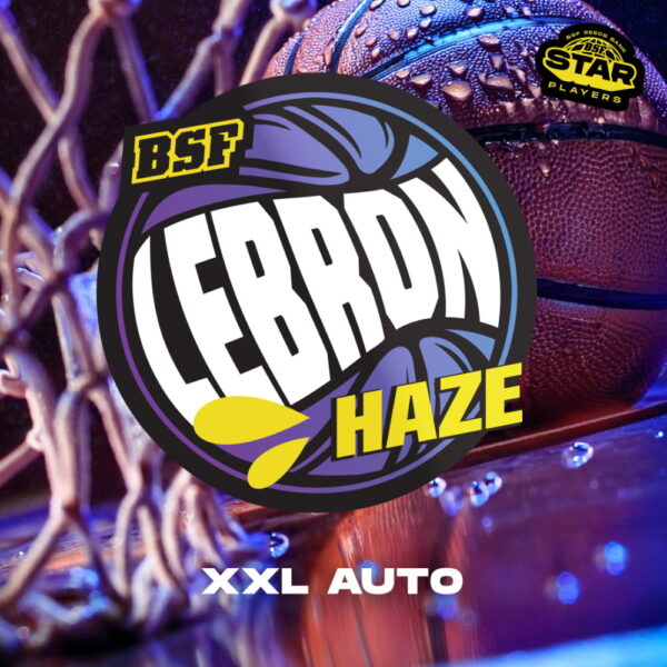 Lebron Haze XXL Auto | BSF Seeds – Bild 4
