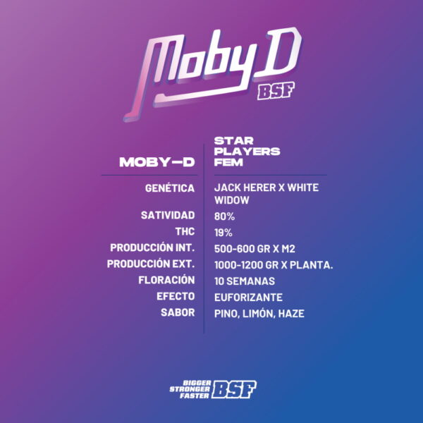 Moby-D Fem. | BSF Seeds – Bild 2