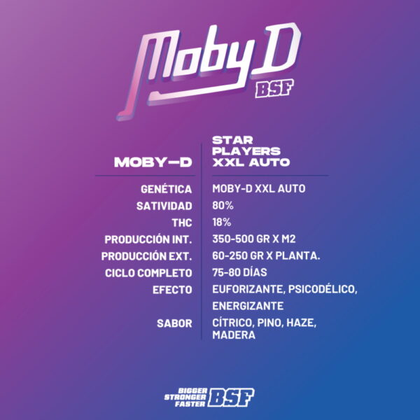 Moby-D XXL Auto | BSF Seeds – Bild 2