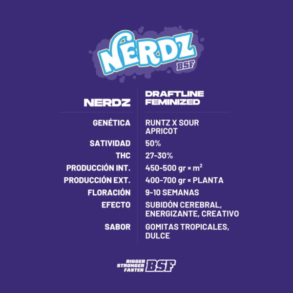 Nerdz Fem. | BSF Seeds – Bild 2