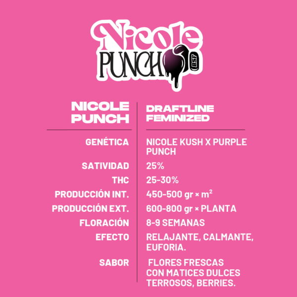 Nicole Punch | BSF Seeds – Bild 2