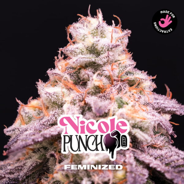 Nicole Punch | BSF Seeds – Bild 3