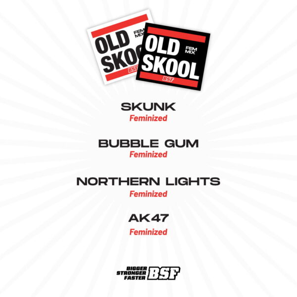 OLD Skool Fem. Mix | BSF Seeds – Bild 2
