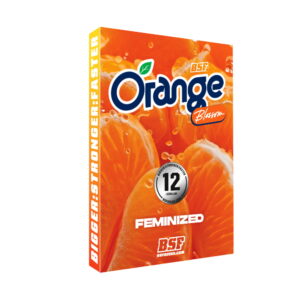 Orange Blossom Fem. | BSF Seeds