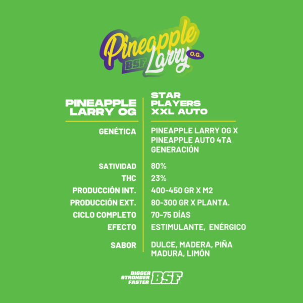 Pinneapple Larry O.G. XXL Auto | BSF Seeds – Bild 2