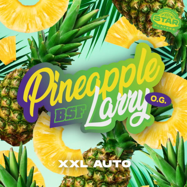 Pinneapple Larry O.G. XXL Auto | BSF Seeds – Bild 4