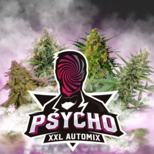 Psycho XXL Auto Mix 12 Stk. | BSF Seeds