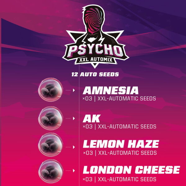 Psycho XXL Auto Mix 12 Stk. | BSF Seeds – Bild 2