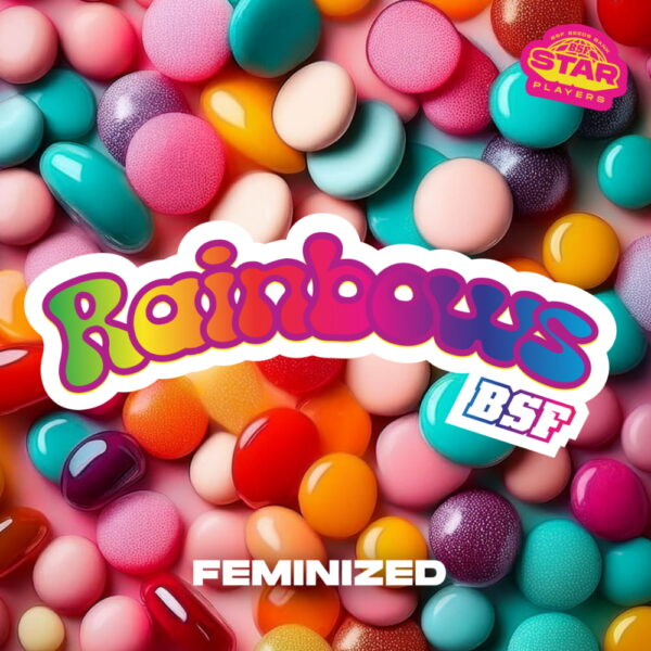 Rainbows Fem. | BSF Seeds – Bild 4