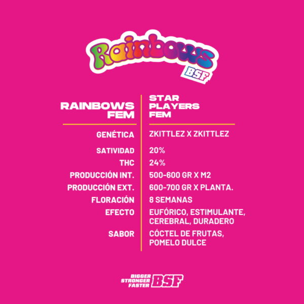 Rainbows Fem. | BSF Seeds – Bild 2