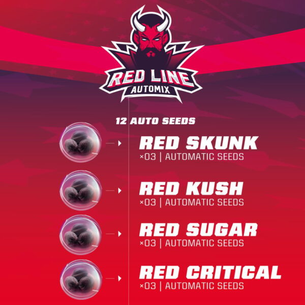 Red Line Auto Mix 12 Stk. | BSF Seeds – Bild 2