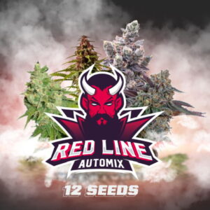 Red Line Auto Mix 12 Stk. | BSF Seeds