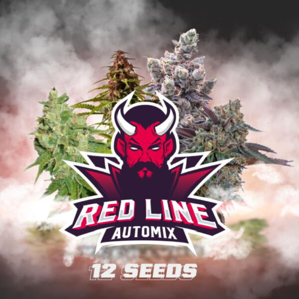 Red Line Auto Mix 12 Stk. | BSF Seeds