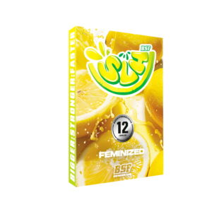 Super Lemon Haze 2 Stk. | BSF Seeds