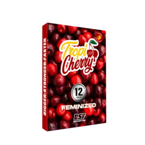 Tropi Cherry 2 Stk. | BSF Seeds