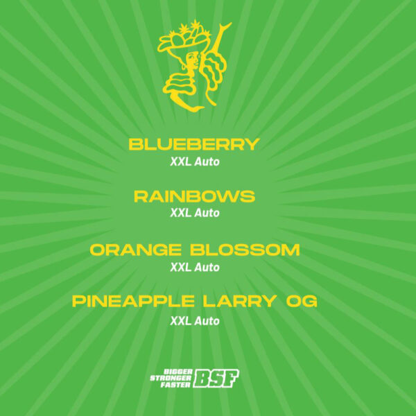 Tutti Frutti Auto Mix | BSF Seeds – Bild 2