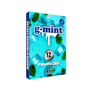 g-mint 2 Stk. | BSF Seeds