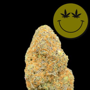 Purple Punch