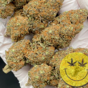 Alternative view of Purple Punch