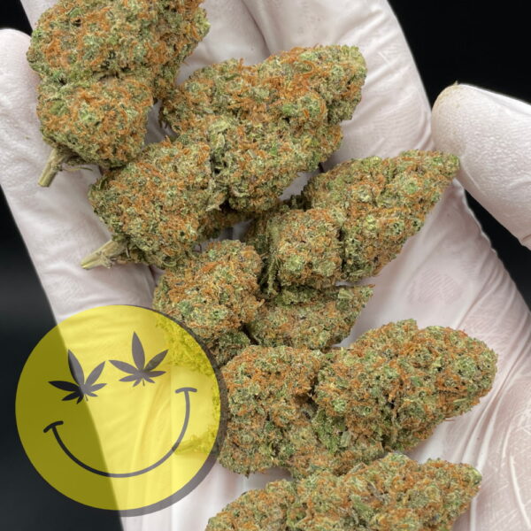 Girl Scout Cookies – Bild 2