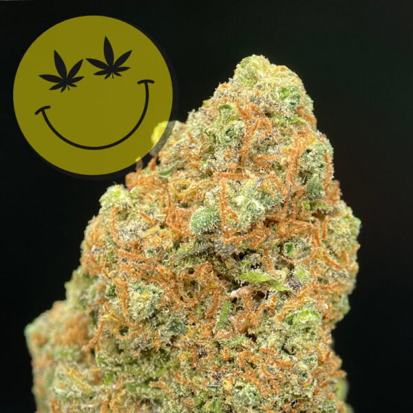 Girl Scout Cookies